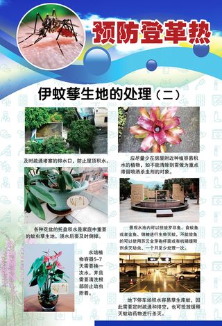 预防登革热宣传系列挂图海报 