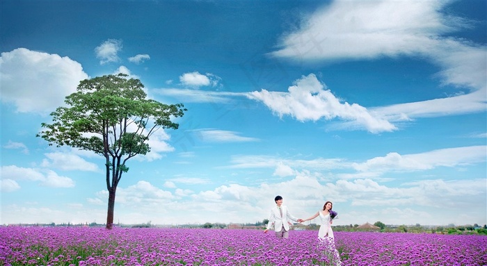 浪漫薰衣草甜蜜恋人婚纱特写
