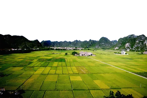 现代农业田地 现代农业田地