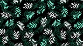 简约唯美浪漫树叶背景图片