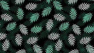 简约唯美浪漫树叶背景图片