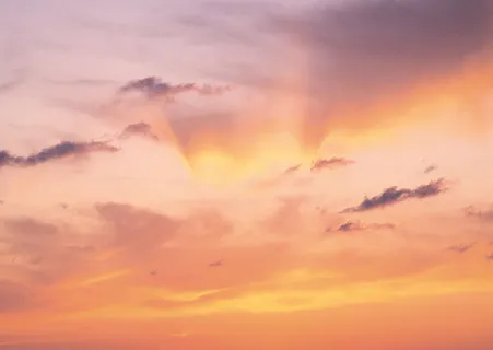 霞光十九  霞光十九