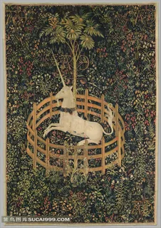 被*的独角兽图画