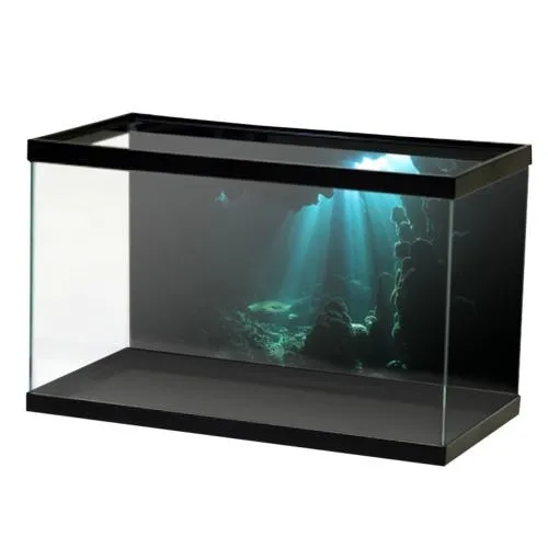 水族馆 PNG免抠(500x500)