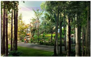 乡村大树小路背景墙