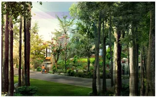 乡村大树小路背景墙