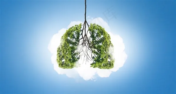 创意人体器官形状