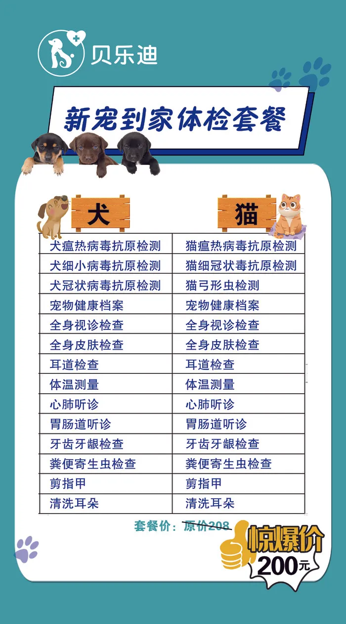 贝乐迪套餐psd模版下载