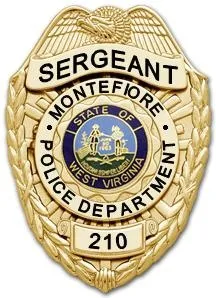 警徽 PNG免抠(216x298)