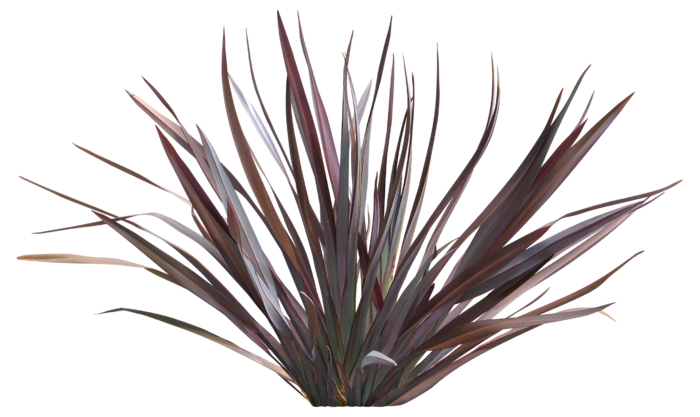 高清树木素材 免抠PSD植物素材 美术绘画园林贴图 树草灌木花草