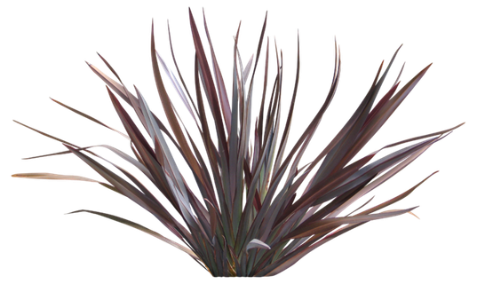 高清树木素材 免抠PSD植物素材 美术绘画园林贴图 树草灌木花草