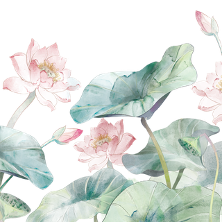 荷花莲花花苞荷叶水墨国画熏染PNG古典