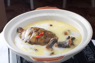 HQ-529边炉龟蛇锅