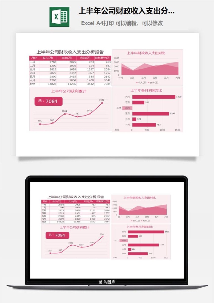 上半年公司财政收入支出分析报告