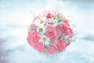 浪漫情人节盛开的粉玫瑰花球