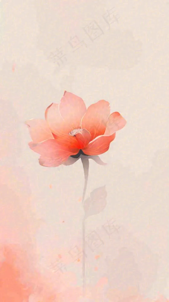 简约花朵鲜花纹理背景(816x1456)