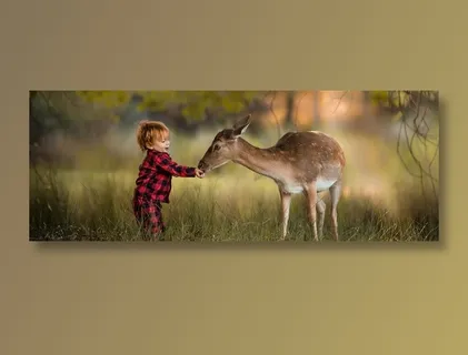 男孩在草地上喂一只鹿