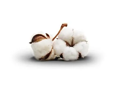 棉花 PNG免抠(404x298)