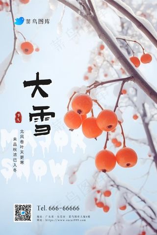 大雪暖冬果子冬天雪果枝节气海报