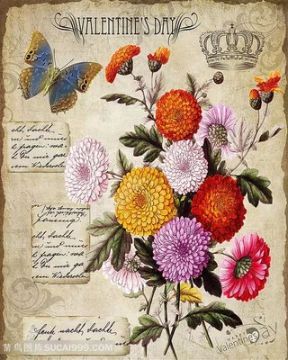 欧式花与蝴蝶装饰画