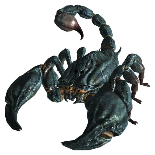 蝎子 PNG免抠(750x750)