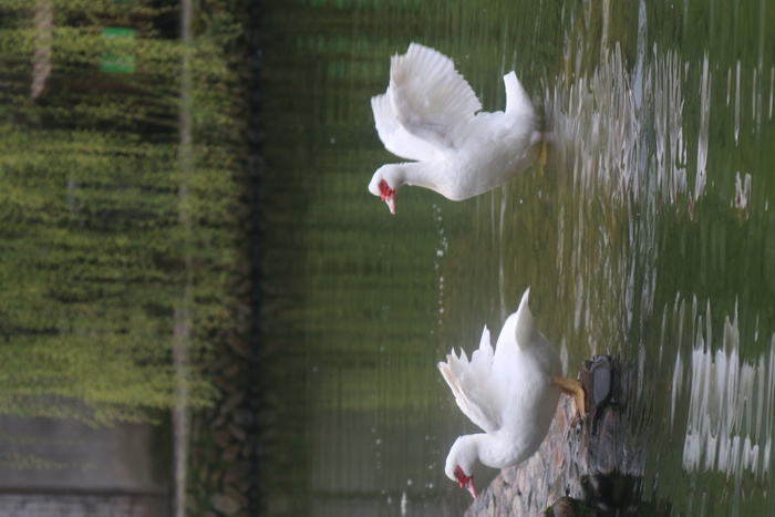 风景|摄影|高清|原创|山水