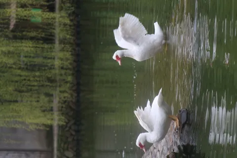 风景|摄影|高清|原创|山水