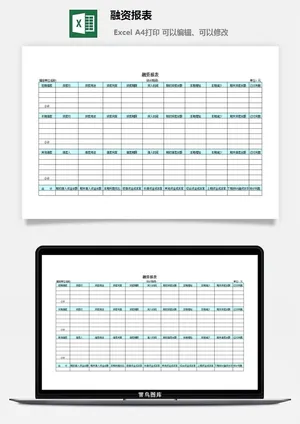 融资报表excel模板预览图