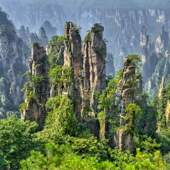 山脉 青山美景  山 树林 云雾 