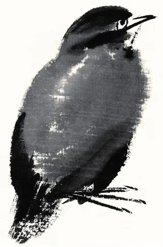 国画鸟绘画图片素材