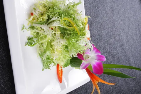 LCSC3031蒜茸苦菊(苦菊)  18 LCSC3031蒜茸苦菊(苦菊)  18