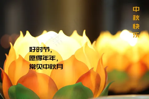 中秋莲花灯会图片