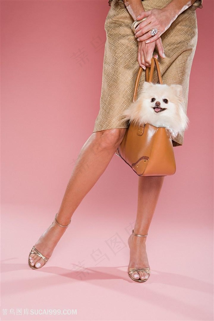 高清长腿美女与博美狗狗图片