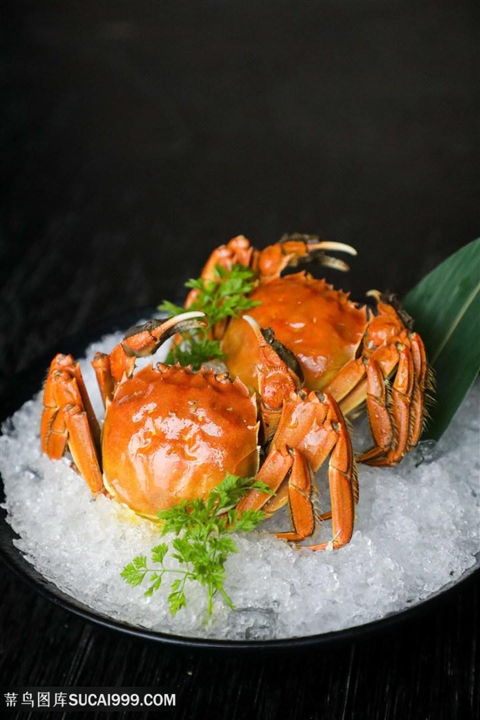 特色海海鲜图片海报素材