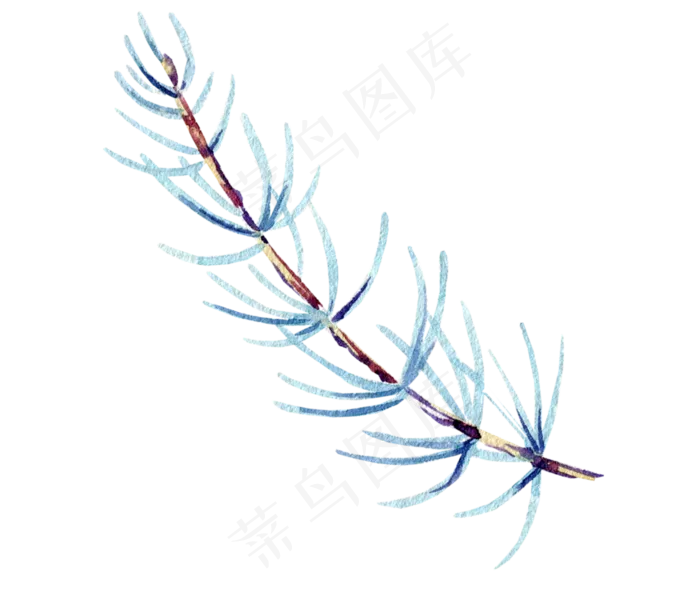 水彩插画-5