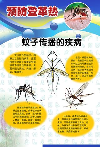 预防登革热宣传系列挂图海报 