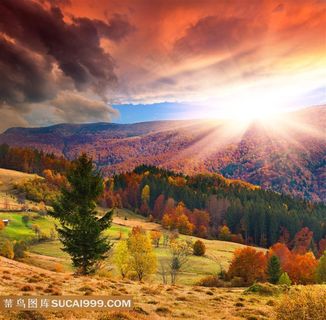 天空云彩阳光森林风光风景图片