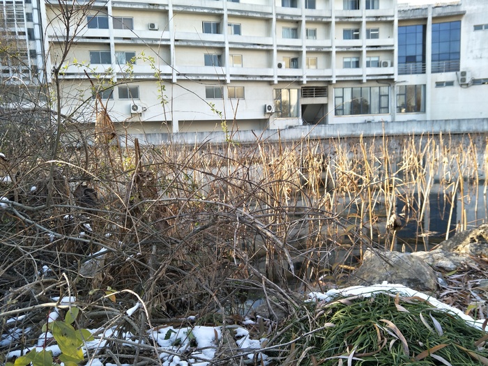 雪后的景色