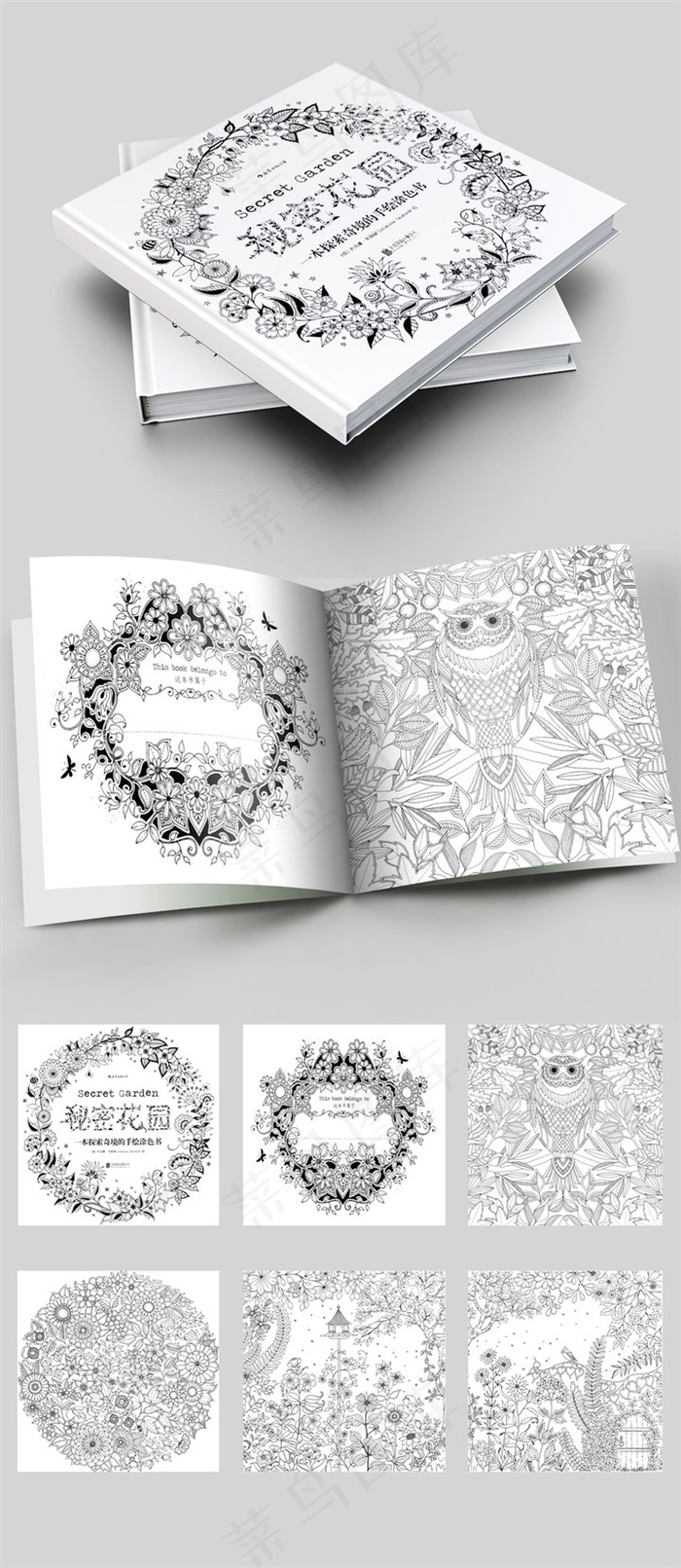 秘密花园画册内页