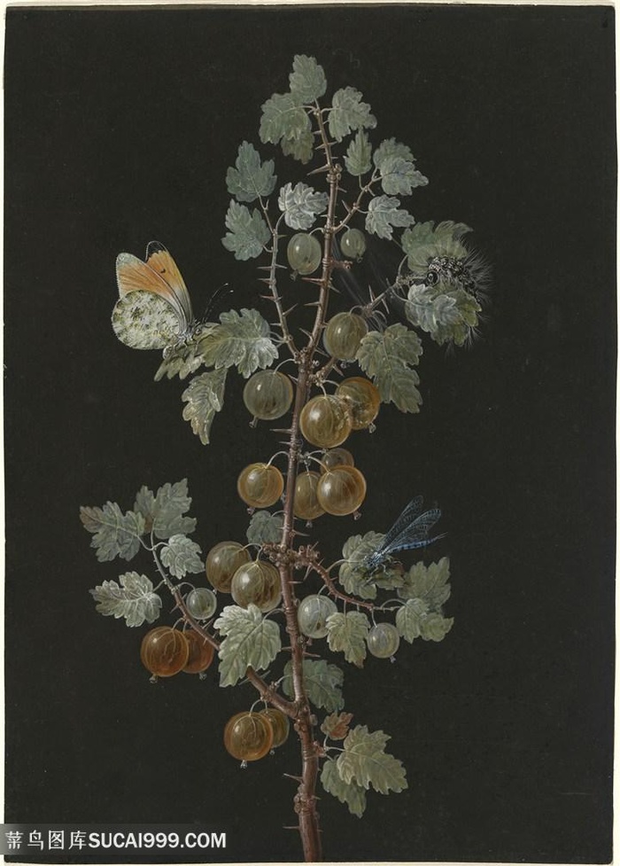 唯美水果树枝装饰画