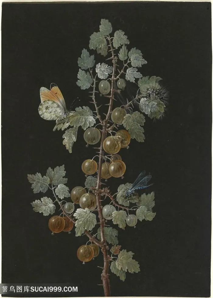 唯美水果树枝装饰画