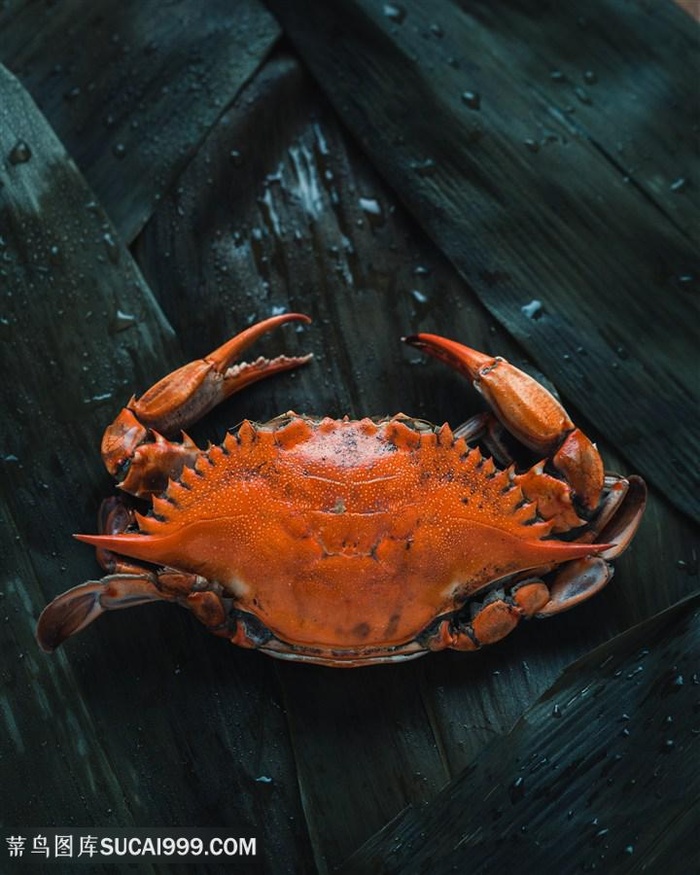 一只美味的螃蟹