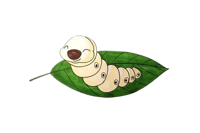 白色蚕可爱卡通
