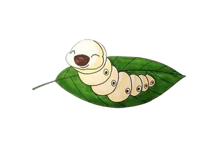 白色蚕可爱卡通