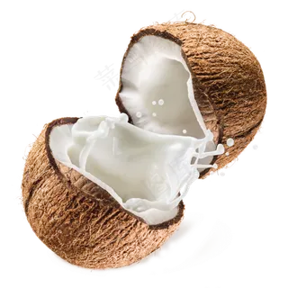 椰子椰奶椰果