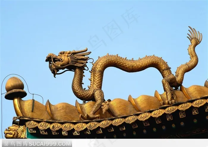 龙 雕刻龙 飞龙