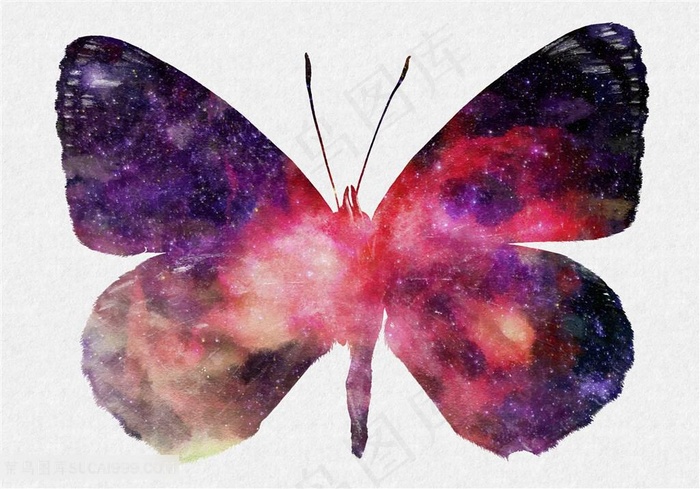 炫彩蝴蝶动物剪影高清图