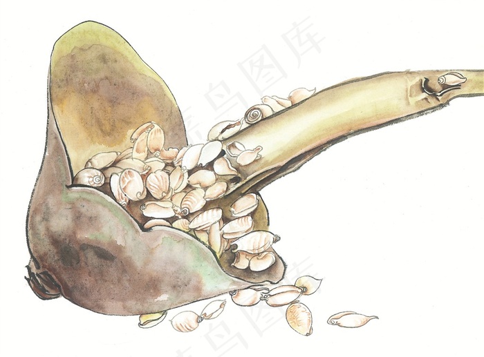 国画瓜果蔬菜鱼虾蟹美术绘画jpg素材