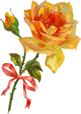 古典花卉png免扣素材