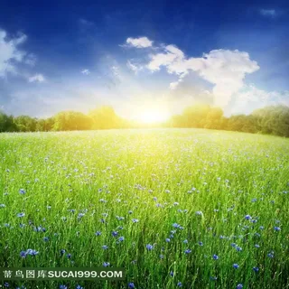 阳光照射下的草原素材图片